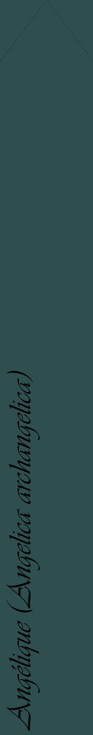 Étiquette de : Angelica archangelica - format c - style noire58_simpleviv avec comestibilité