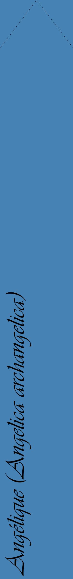 Étiquette de : Angelica archangelica - format c - style noire5_simpleviv avec comestibilité