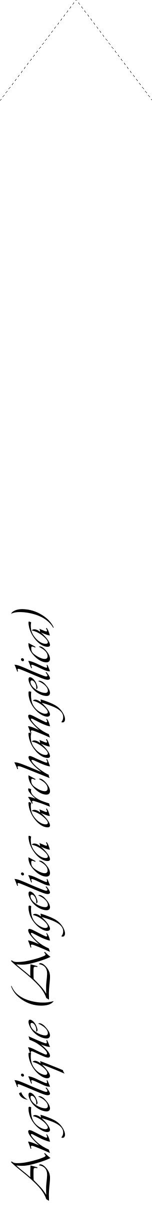 Étiquette de : Angelica archangelica - format c - style noire60_simpleviv avec comestibilité