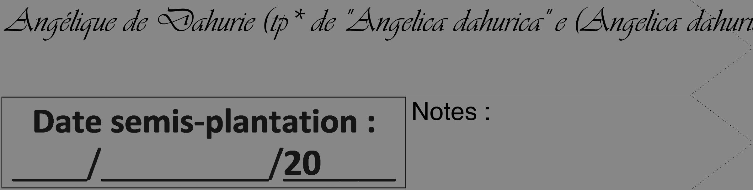 Étiquette de : Angelica dahurica - format c - style noire12_simple_simpleviv avec comestibilité