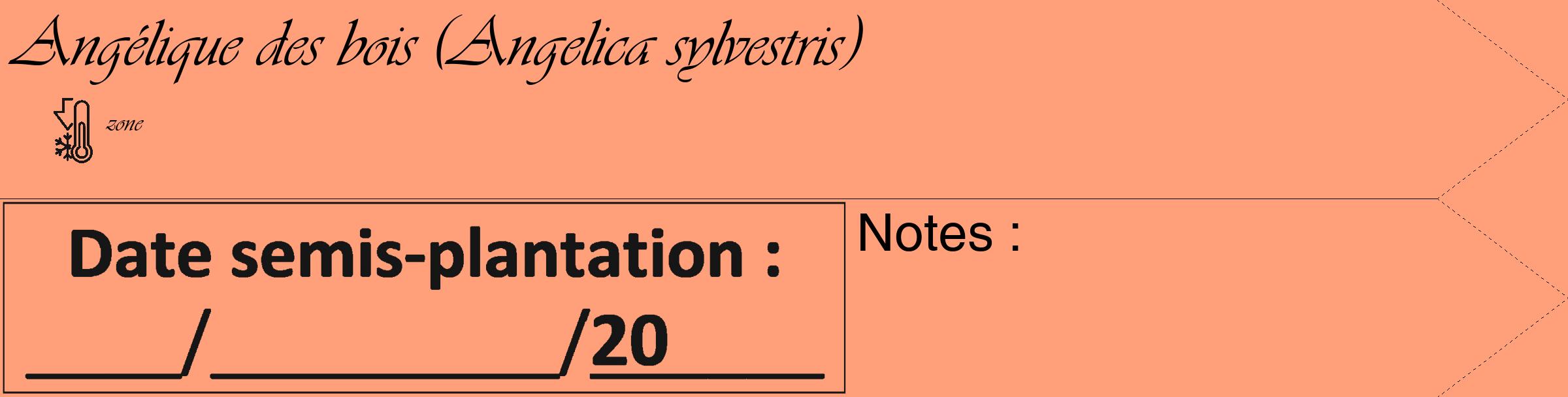 Étiquette de : Angelica sylvestris - format c - style noire39_simple_simpleviv avec comestibilité