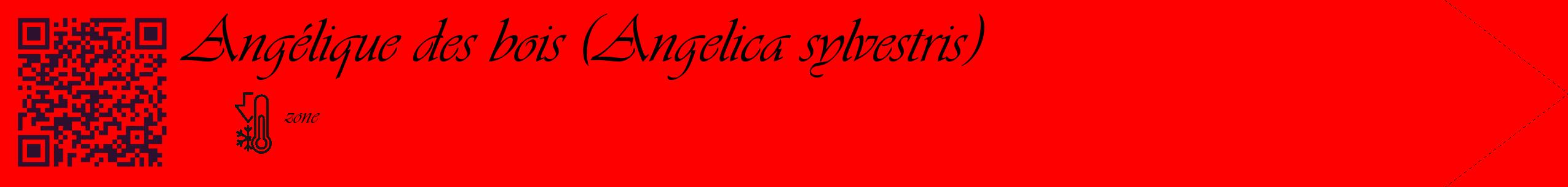 Étiquette de : Angelica sylvestris - format c - style noire27_simple_simpleviv avec qrcode et comestibilité