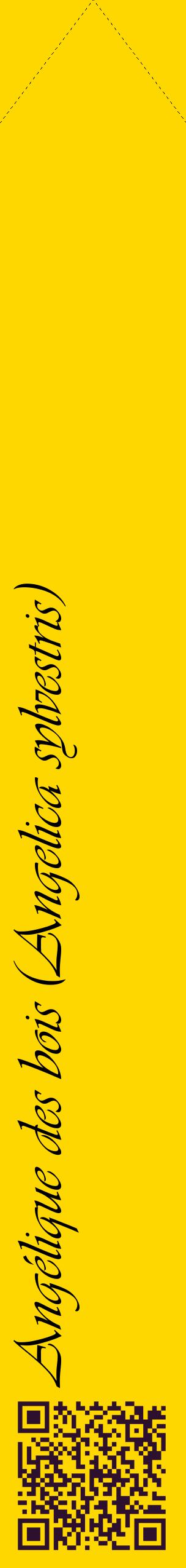 Étiquette de : Angelica sylvestris - format c - style noire21_simpleviv avec qrcode et comestibilité