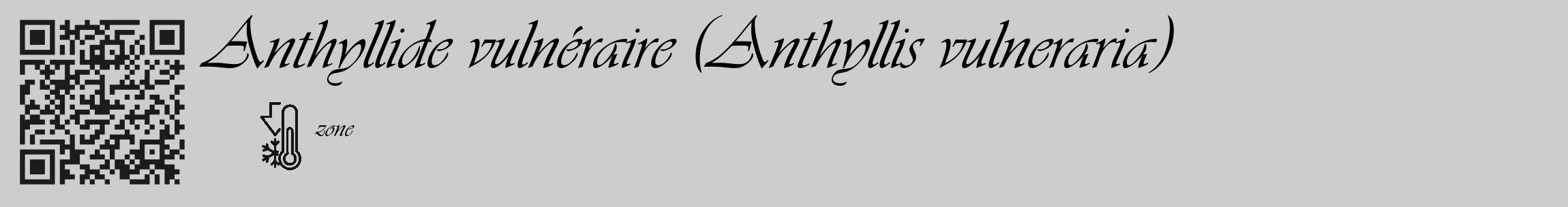 Étiquette de : Anthyllis vulneraria - format c - style noire41_basique_basiqueviv avec qrcode et comestibilité