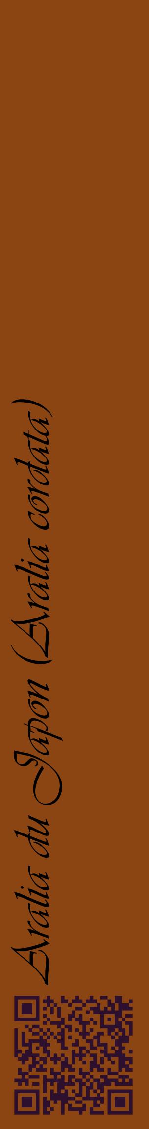 Étiquette de : Aralia cordata - format c - style noire30_basiqueviv avec qrcode et comestibilité