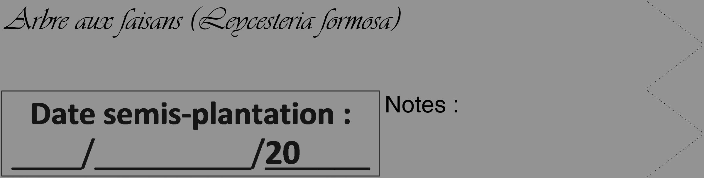 Étiquette de : Leycesteria formosa - format c - style noire44_simple_simpleviv avec comestibilité