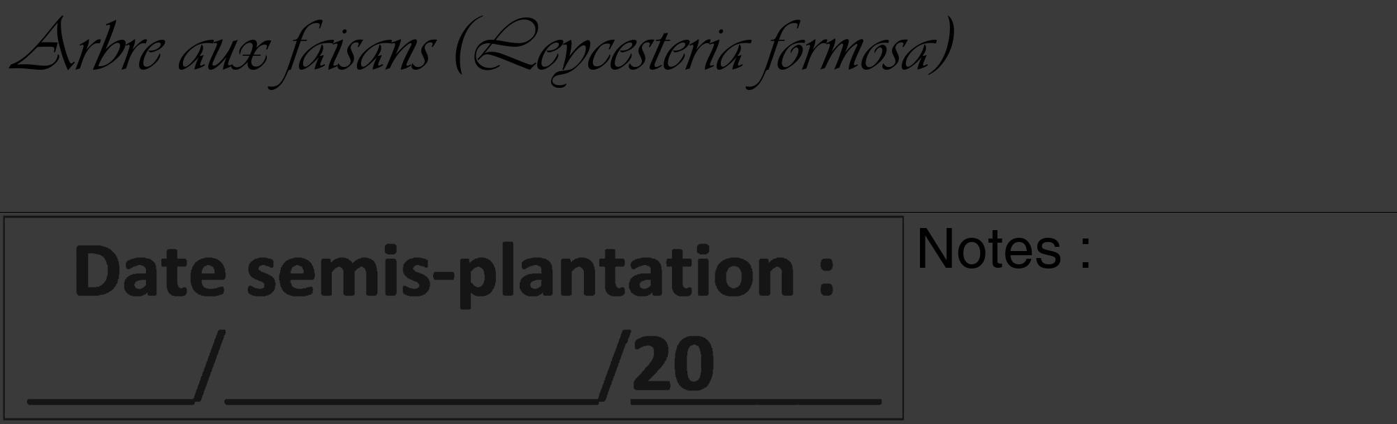 Étiquette de : Leycesteria formosa - format c - style noire8_basique_basiqueviv avec comestibilité