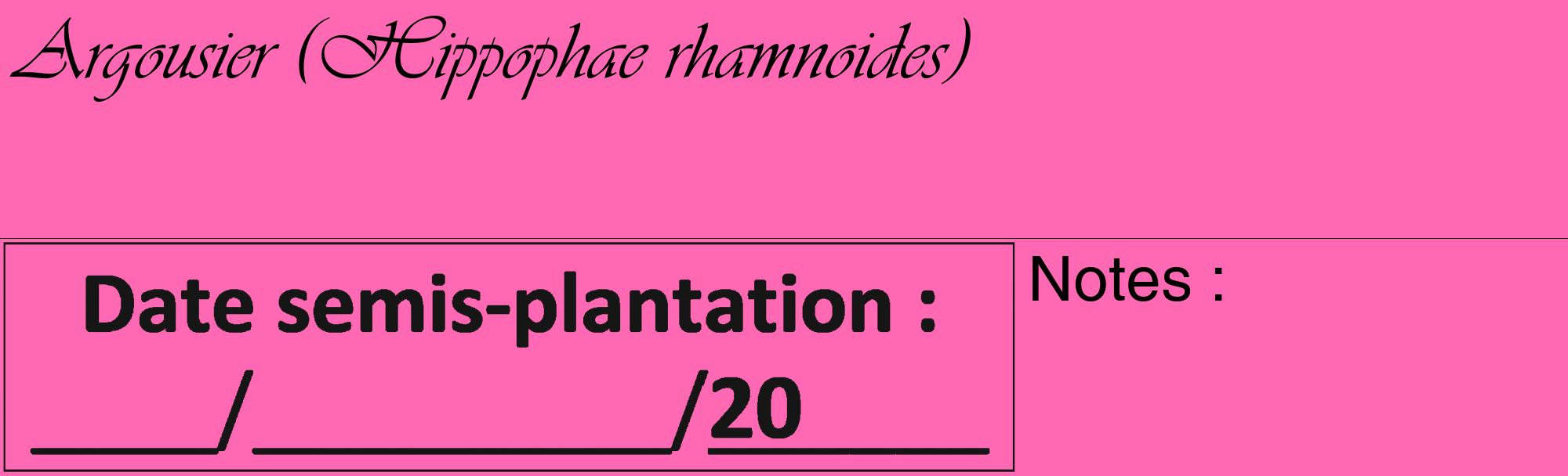 Étiquette de : Hippophae rhamnoides - format c - style noire42_basique_basiqueviv avec comestibilité