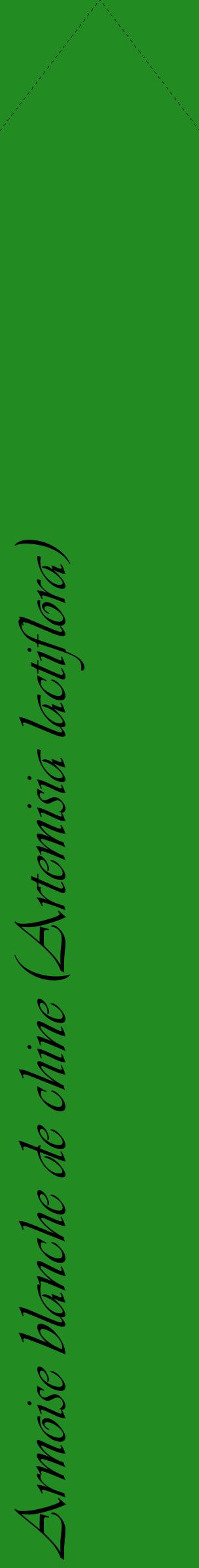 Étiquette de : Artemisia lactiflora - format c - style noire10_simpleviv avec comestibilité