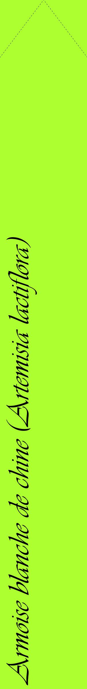 Étiquette de : Artemisia lactiflora - format c - style noire17_simpleviv avec comestibilité