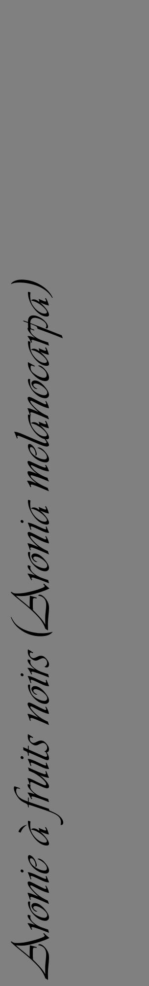 Étiquette de : Aronia melanocarpa - format c - style noire57_basiqueviv avec comestibilité
