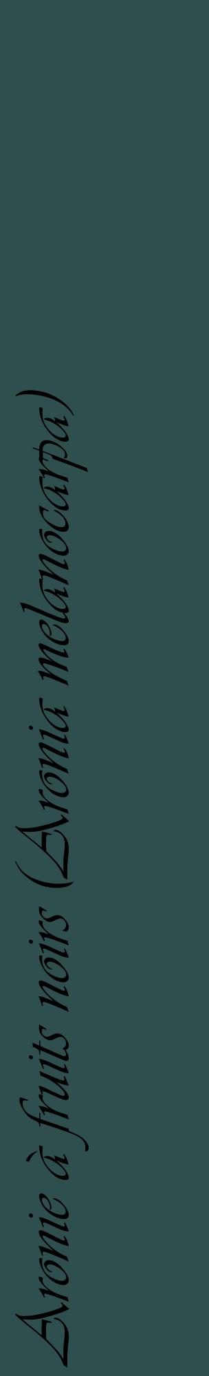 Étiquette de : Aronia melanocarpa - format c - style noire58_basiqueviv avec comestibilité