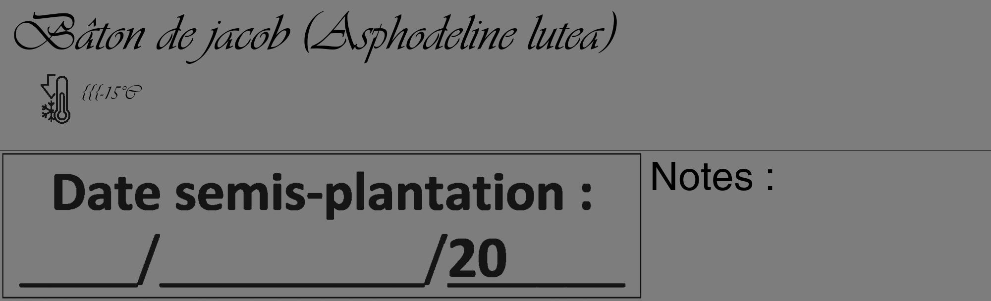 Étiquette de : Asphodeline lutea - format c - style noire35_basique_basiqueviv avec comestibilité