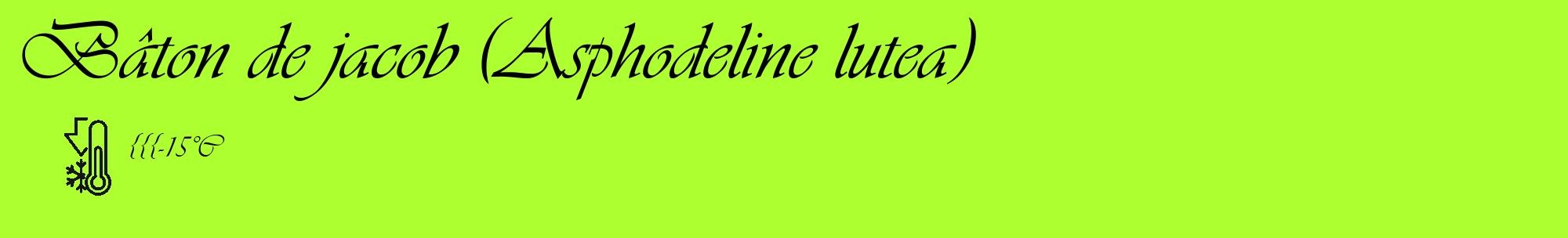 Étiquette de : Asphodeline lutea - format c - style noire17_basique_basiqueviv avec comestibilité