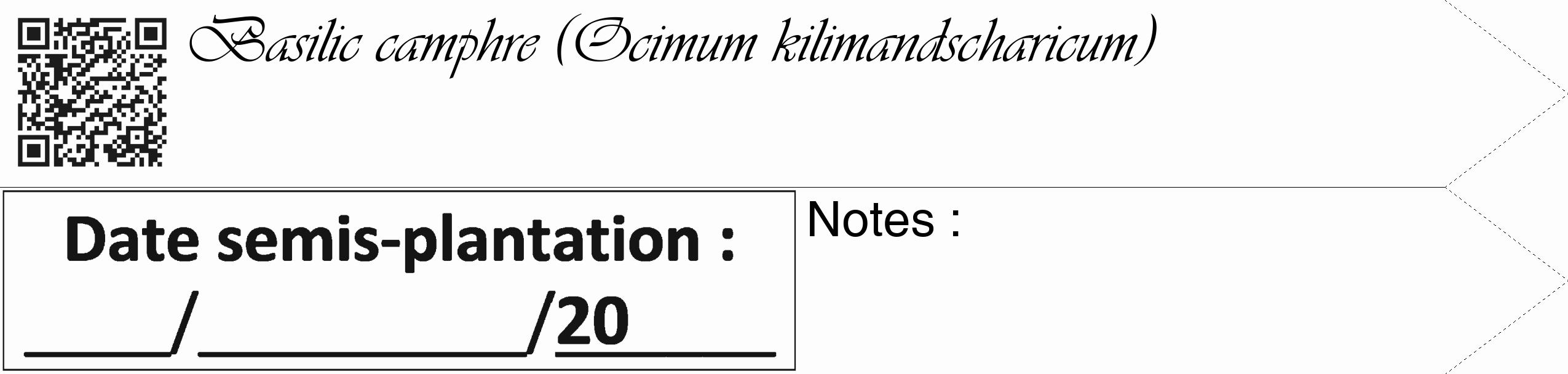 Étiquette de : Ocimum kilimandscharicum - format c - style noire19_simple_simpleviv avec qrcode et comestibilité