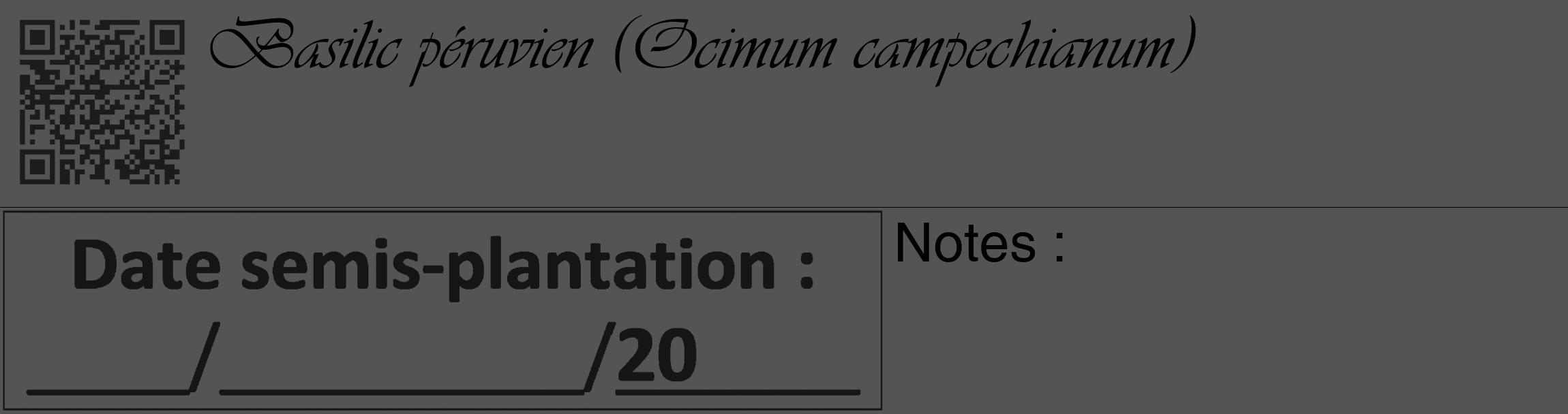 Étiquette de : Ocimum campechianum - format c - style noire36_basique_basiqueviv avec qrcode et comestibilité