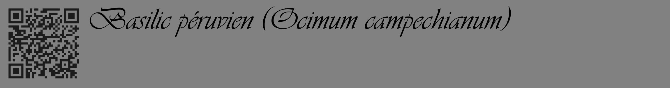 Étiquette de : Ocimum campechianum - format c - style noire50_basique_basiqueviv avec qrcode et comestibilité