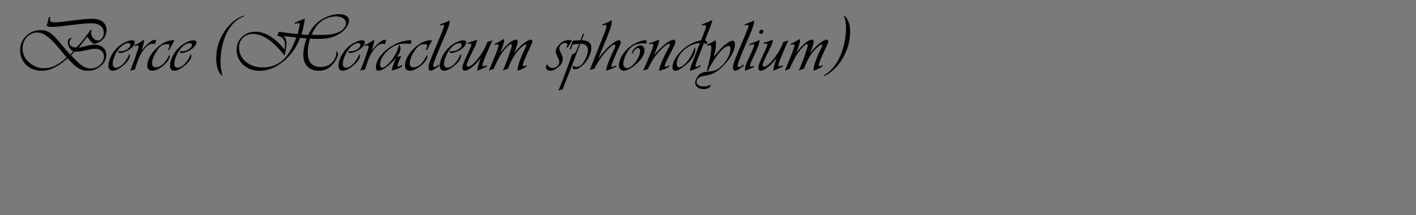 Étiquette de : Heracleum sphondylium - format c - style noire3_basique_basiqueviv avec comestibilité