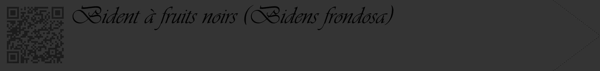 Étiquette de : Bidens frondosa - format c - style noire46_simple_simpleviv avec qrcode et comestibilité