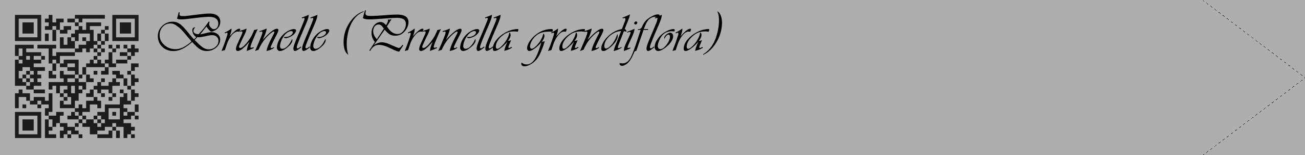 Étiquette de : Prunella grandiflora - format c - style noire53_simple_simpleviv avec qrcode et comestibilité