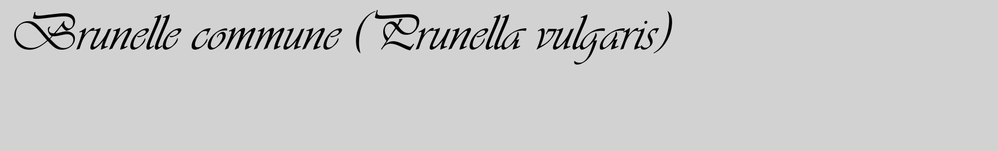 Étiquette de : Prunella vulgaris - format c - style noire14_basique_basiqueviv avec comestibilité