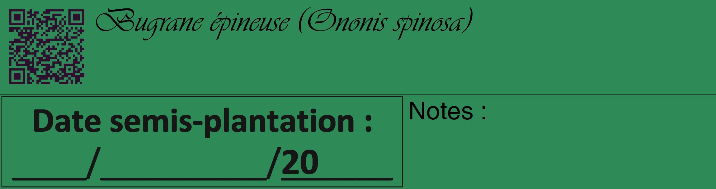 Étiquette de : Ononis spinosa - format c - style noire11_basique_basiqueviv avec qrcode et comestibilité