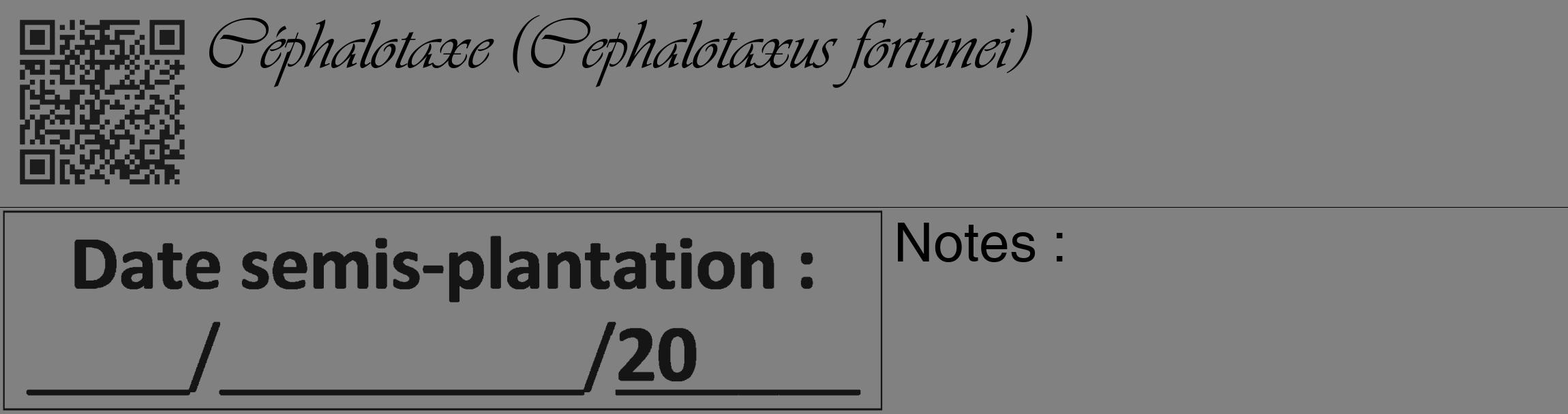 Étiquette de : Cephalotaxus fortunei - format c - style noire50_basique_basiqueviv avec qrcode et comestibilité