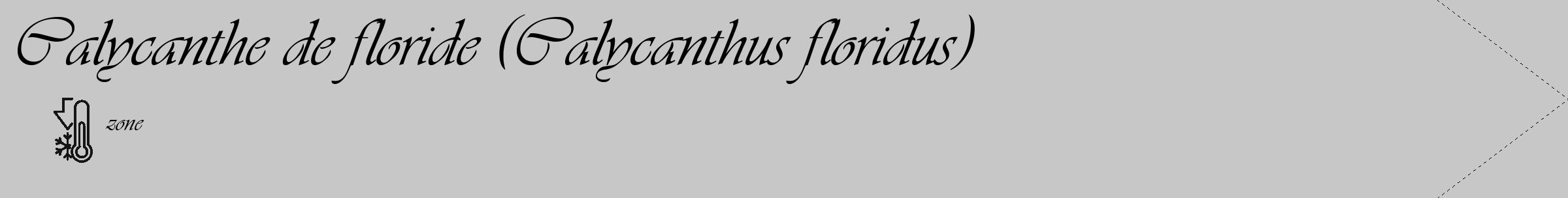 Étiquette de : Calycanthus floridus - format c - style noire15_simple_simpleviv avec comestibilité