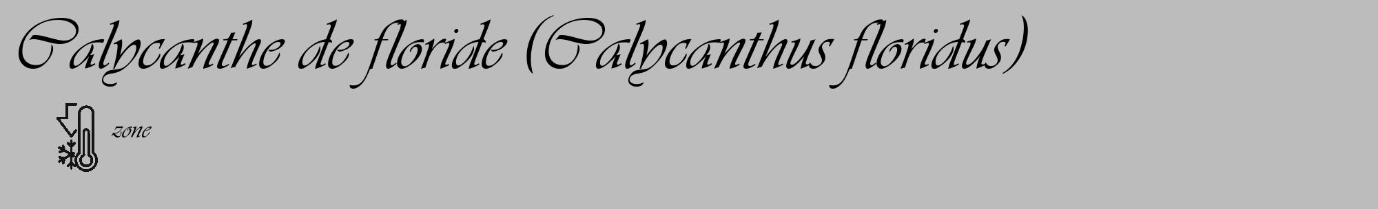 Étiquette de : Calycanthus floridus - format c - style noire1_basique_basiqueviv avec comestibilité