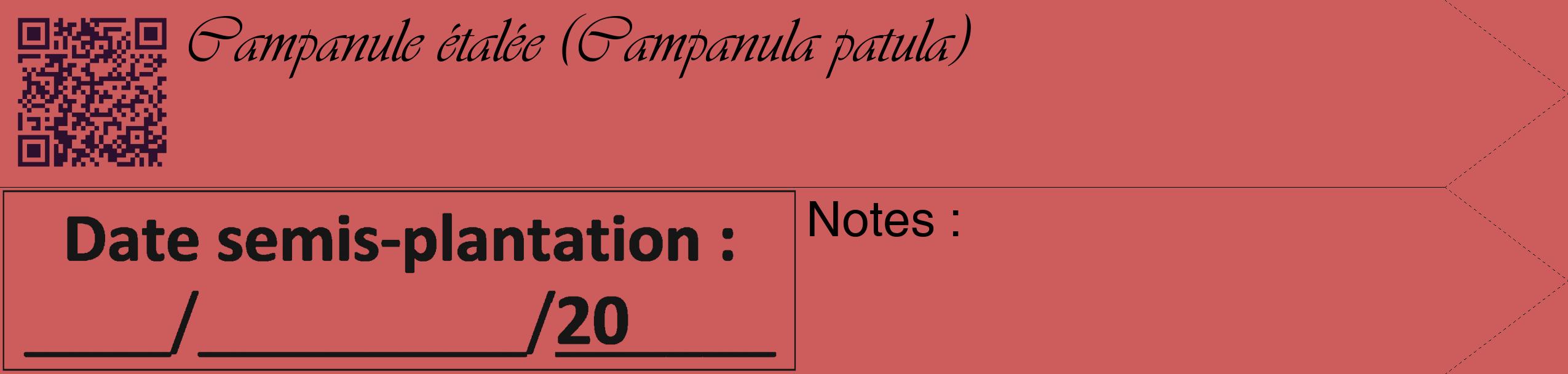 Étiquette de : Campanula patula - format c - style noire35_simple_simpleviv avec qrcode et comestibilité