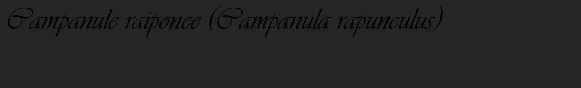 Étiquette de : Campanula rapunculus - format c - style noire47_basique_basiqueviv avec comestibilité