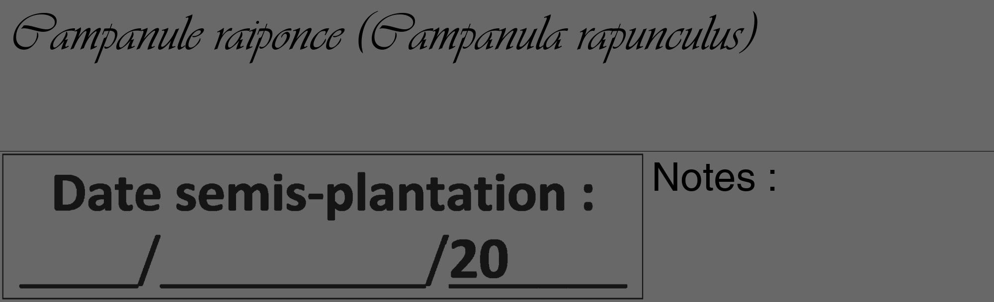 Étiquette de : Campanula rapunculus - format c - style noire6_basique_basiqueviv avec comestibilité