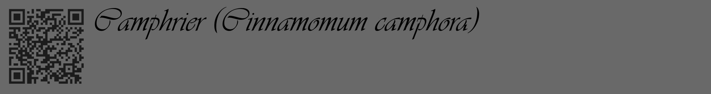 Étiquette de : Cinnamomum camphora - format c - style noire11_basique_basiqueviv avec qrcode et comestibilité