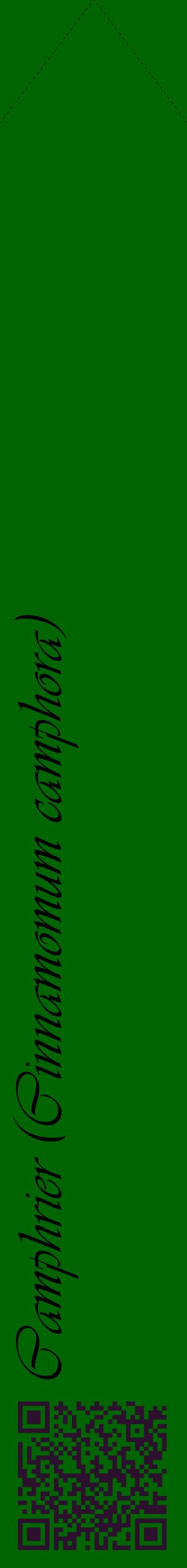 Étiquette de : Cinnamomum camphora - format c - style noire8_simpleviv avec qrcode et comestibilité