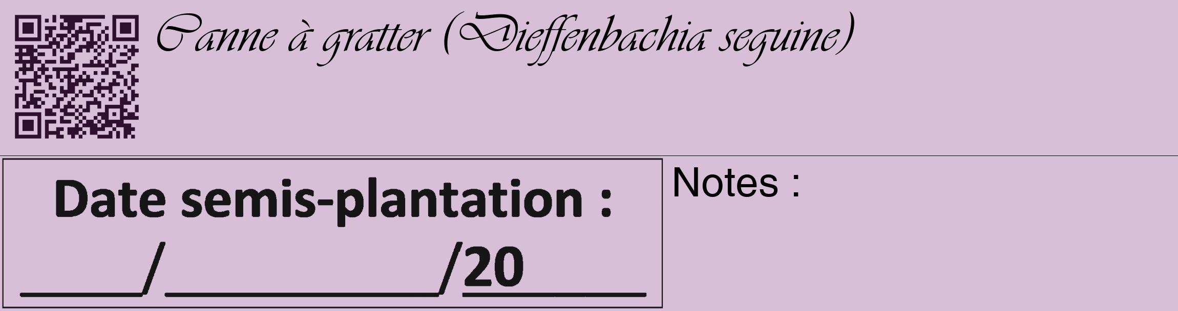 Étiquette de : Dieffenbachia seguine - format c - style noire54_basique_basiqueviv avec qrcode et comestibilité