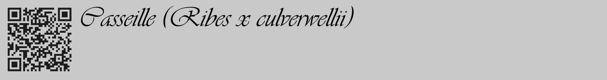 Étiquette de : Ribes x culverwellii - format c - style noire54_basique_basiqueviv avec qrcode et comestibilité