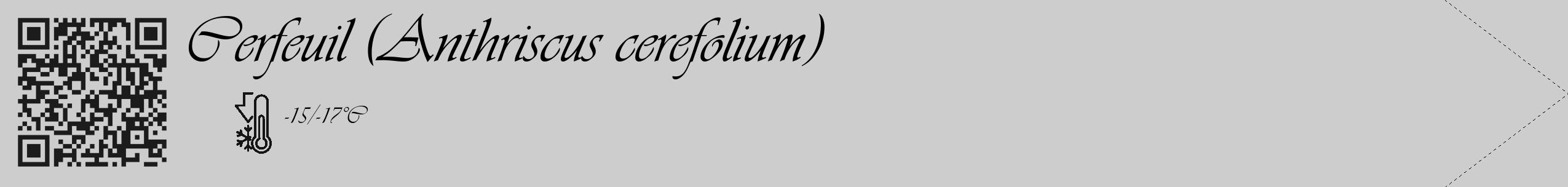 Étiquette de : Anthriscus cerefolium - format c - style noire41_simple_simpleviv avec qrcode et comestibilité