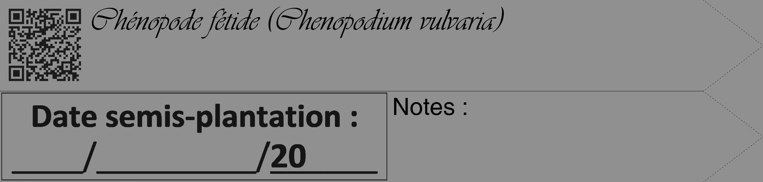 Étiquette de : Chenopodium vulvaria - format c - style noire4_simple_simpleviv avec qrcode et comestibilité