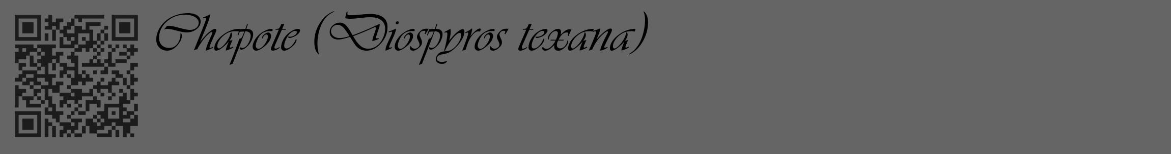 Étiquette de : Diospyros texana - format c - style noire32_basique_basiqueviv avec qrcode et comestibilité