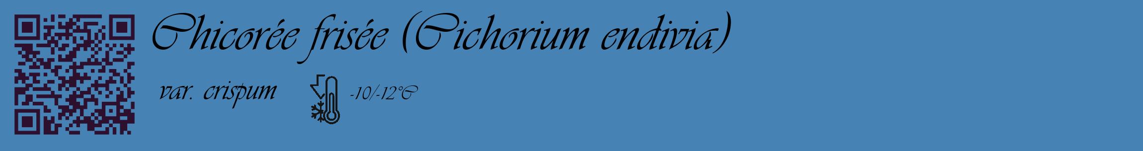 Étiquette de : Cichorium endivia var. crispum - format c - style noire5_basique_basiqueviv avec qrcode et comestibilité