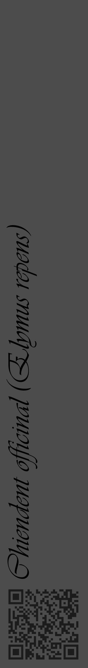 Étiquette de : Elymus repens - format c - style noire27_basique_basiqueviv avec qrcode et comestibilité - position verticale