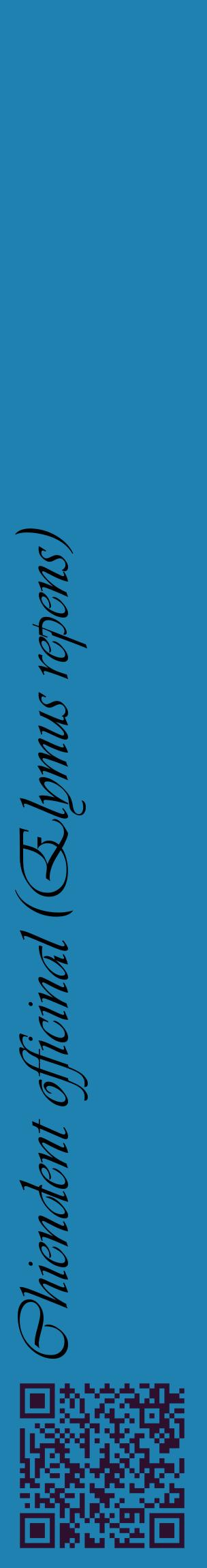 Étiquette de : Elymus repens - format c - style noire6_basiqueviv avec qrcode et comestibilité