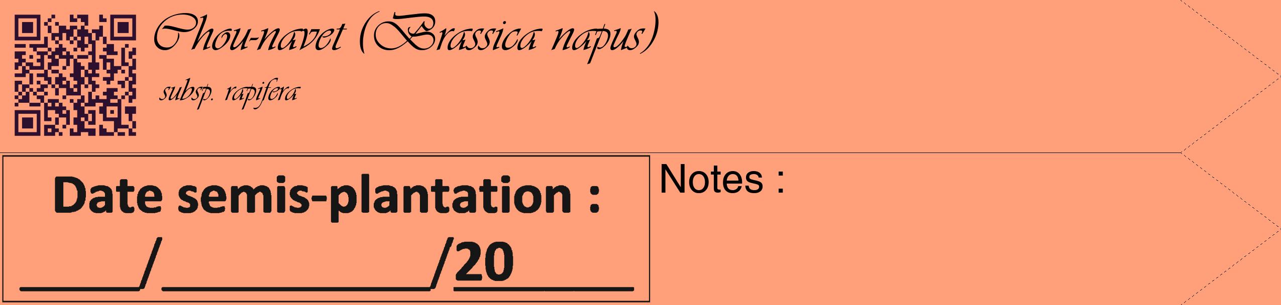 Étiquette de : Brassica napus subsp. rapifera - format c - style noire39simple_basique_basiqueviv avec qrcode et comestibilité