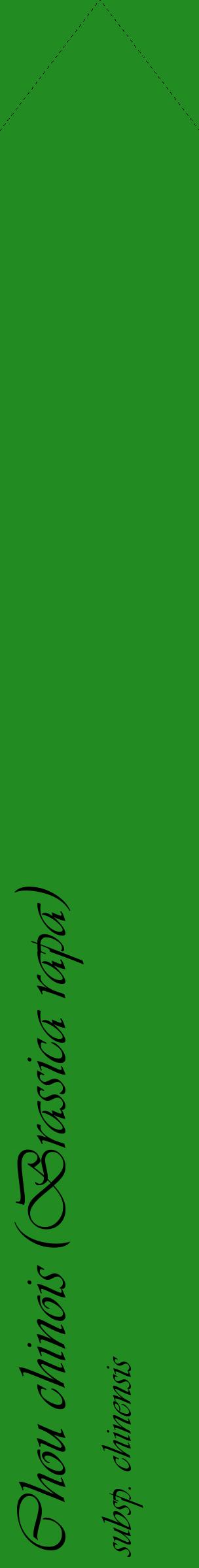 Étiquette de : Brassica rapa subsp. chinensis - format c - style noire10_simpleviv avec comestibilité
