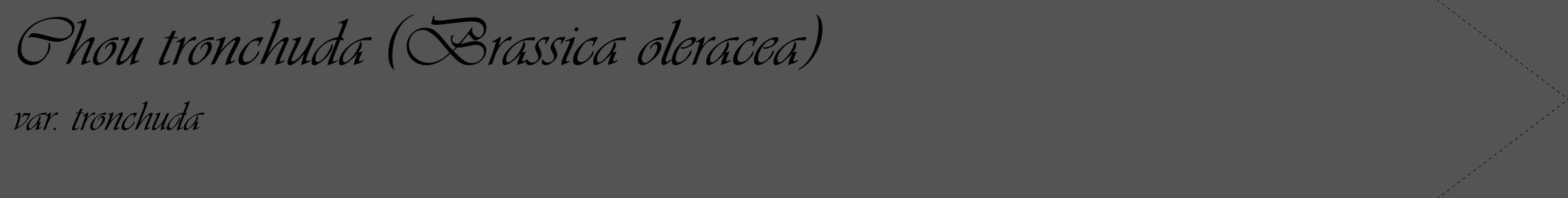 Étiquette de : Brassica oleracea var. tronchuda - format c - style noire30_simple_simpleviv avec comestibilité