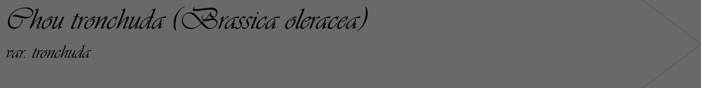 Étiquette de : Brassica oleracea var. tronchuda - format c - style noire51simple_basique_basiqueviv avec comestibilité