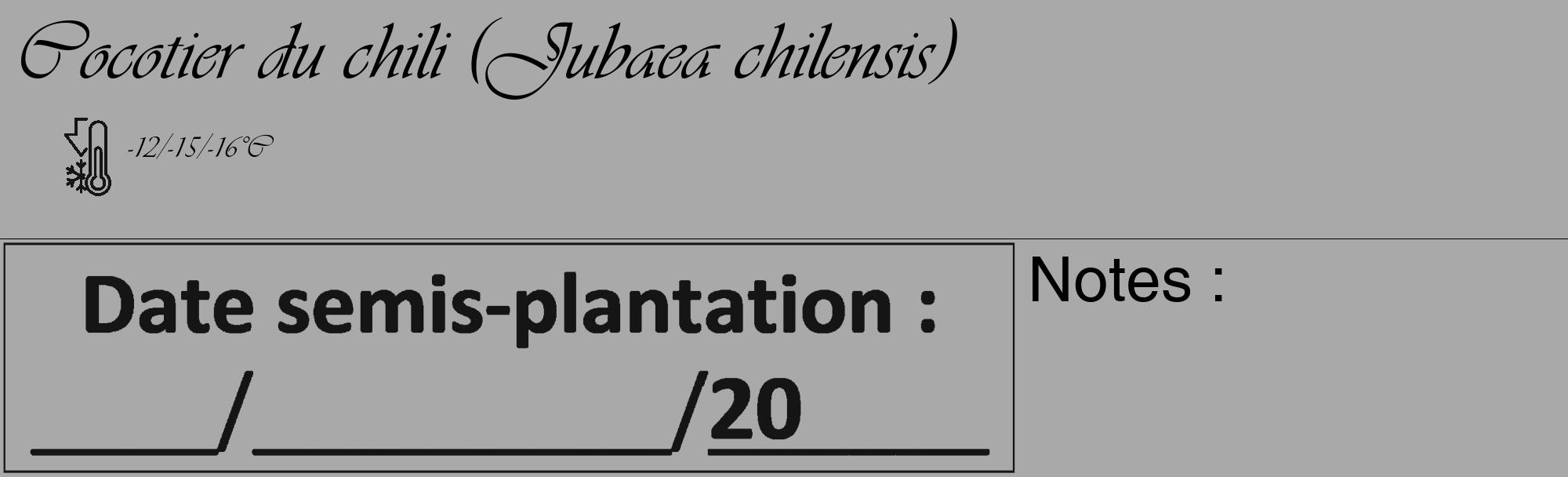 Étiquette de : Jubaea chilensis - format c - style noire13_basique_basiqueviv avec comestibilité