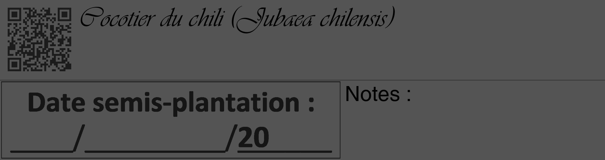 Étiquette de : Jubaea chilensis - format c - style noire30_basique_basiqueviv avec qrcode et comestibilité