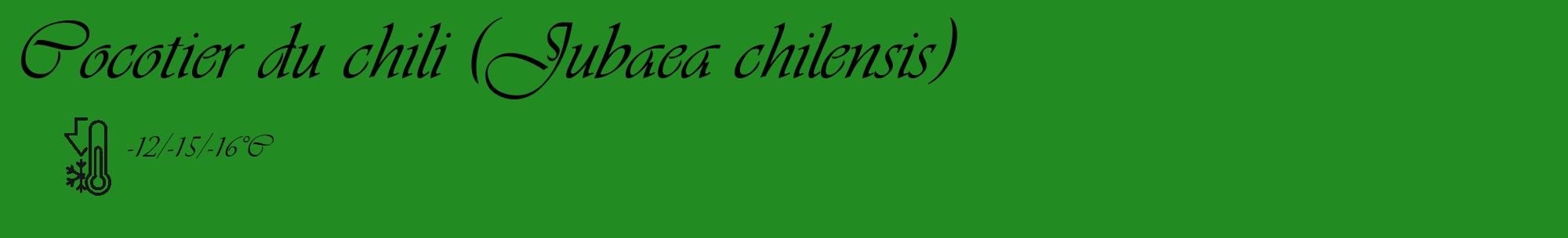Étiquette de : Jubaea chilensis - format c - style noire10_basique_basiqueviv avec comestibilité