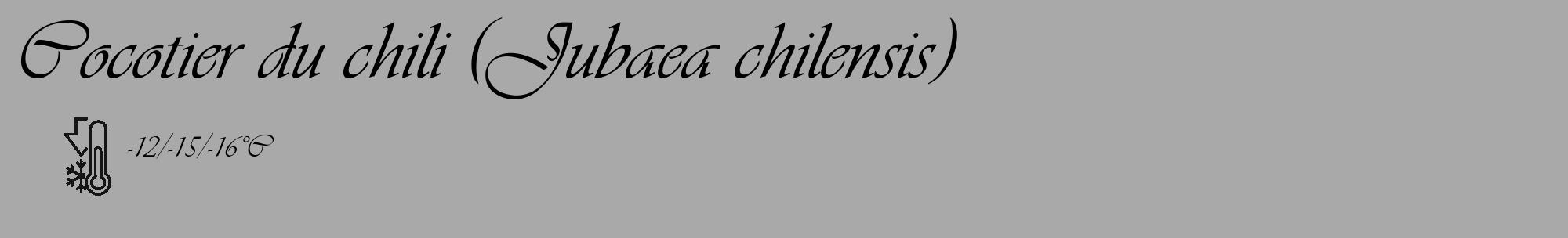 Étiquette de : Jubaea chilensis - format c - style noire13_basique_basiqueviv avec comestibilité
